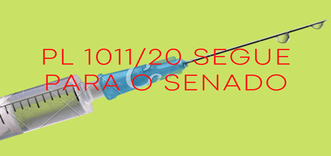 Projeto de Lei 1011/20 segue para o Senado