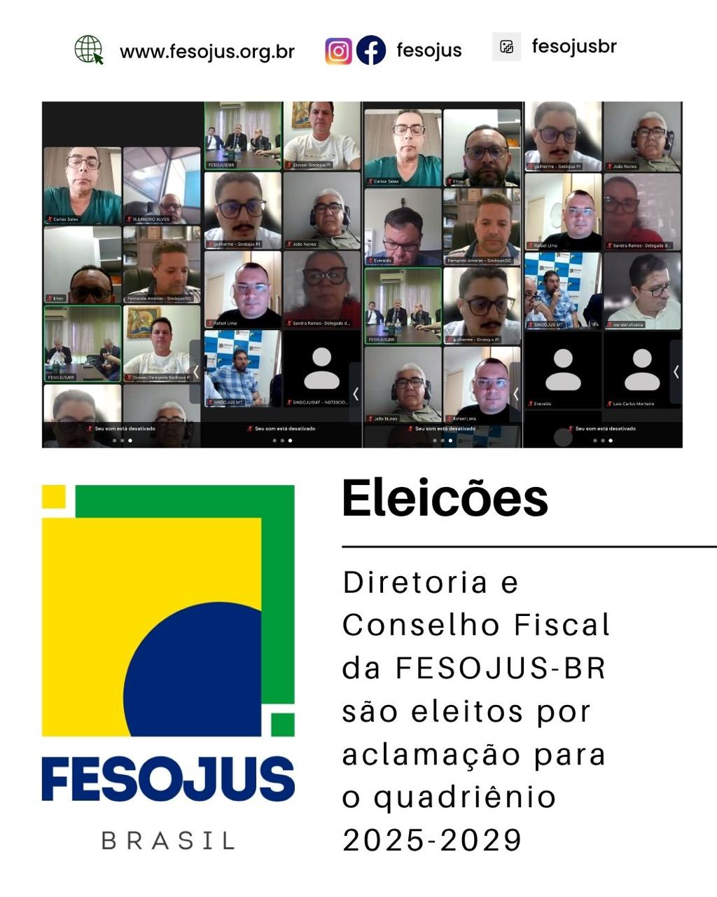 Leia mais sobre o artigo Diretoria e Conselho Fiscal da FESOJUS-BR são eleitos por aclamação para o quadriênio 2025-2029